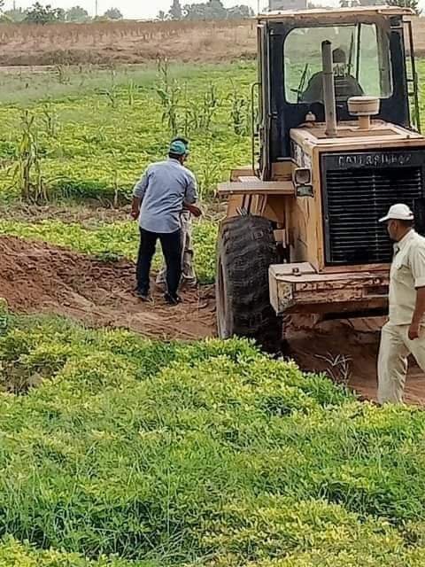 إزالة 7 حالات تعدي بمساحة 706 متر مباني و8 حالات تعدي بمساحة 52 فدان على الأراضي الزراعية بالشرقية 