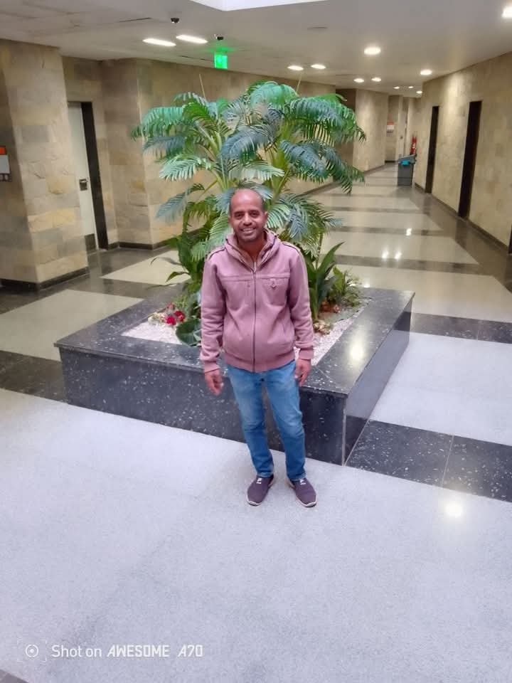 هيثم السنارى