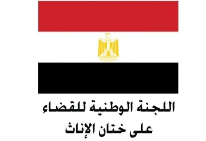 المجلس القومى للمرأة يطلق حملة طرق أبواب بعنوان “احميها من الختان” فى جميع محافظات الجمهورية