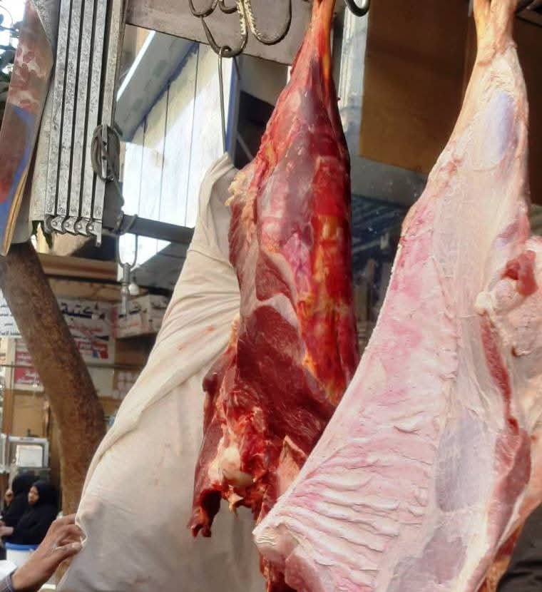 محافظ أسوان : تكثيف جهود الطب البيطرى بالحملات التفتيشية لضبط المخالفات وإتخاذ الإجراءات اللازمة حيال المخالفين