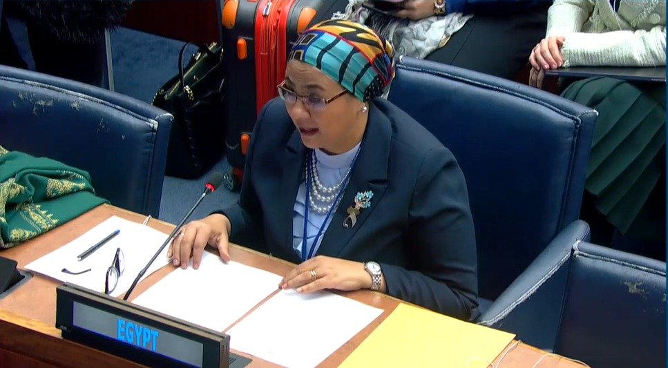 المستشارة أمل عمار تشارك فى جلسة وزارية ضمن فعاليات الدورة 69