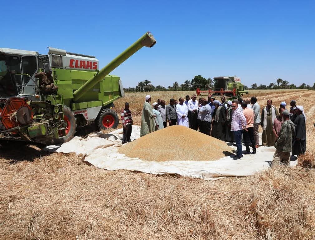 محافظ أسوان يعطى إشارة البدء لموسم حصاد محصول القمح الجديد لعام 2025 بقرية الحكمة