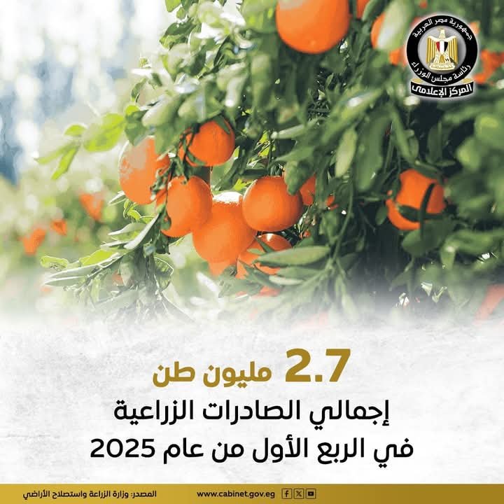أهم الصادرات الزراعية في الربع الأول عام 2025