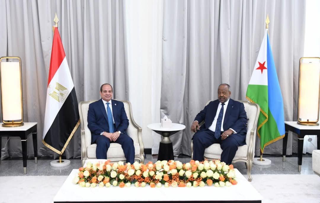 الرئيس السيسي و نظيره الجيبوتى يبحثان تعزيز التعاون المشترك بين البلدين والشراكة الإستراتيجية