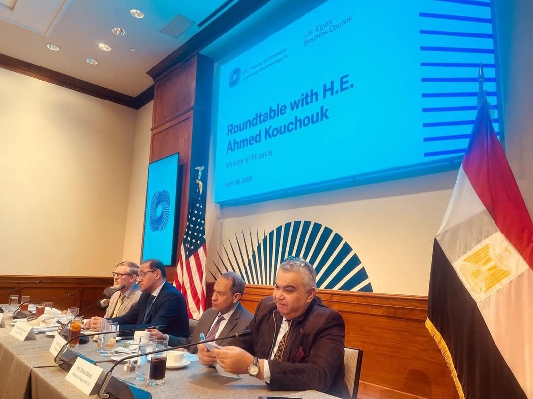 وزير المالية :الدولة المصرية تحشد كل قدراتها الاقتصادية لجذب المزيد من الاستثمارات المحلية والأجنبية