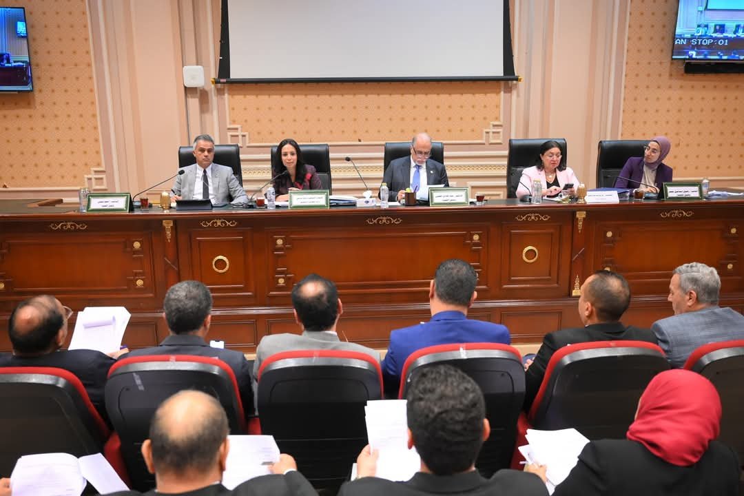 وزيرة التضامن الاجتماعي:  ما تنفذه الدولة المصرية في ملف الحماية الاجتماعية يعد من أنجح البرامج في المنطقة