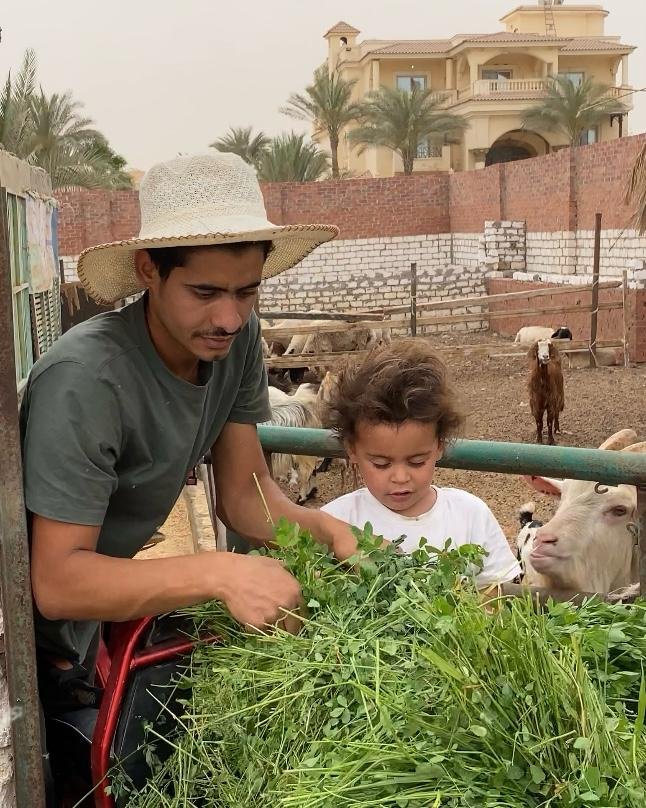 مشروعات الإنتاج الحيواني والزراعي عند أحمد السمالوسي.. تجربة عملية لبناء مزرعة متكاملة بأقل الإمكانيات