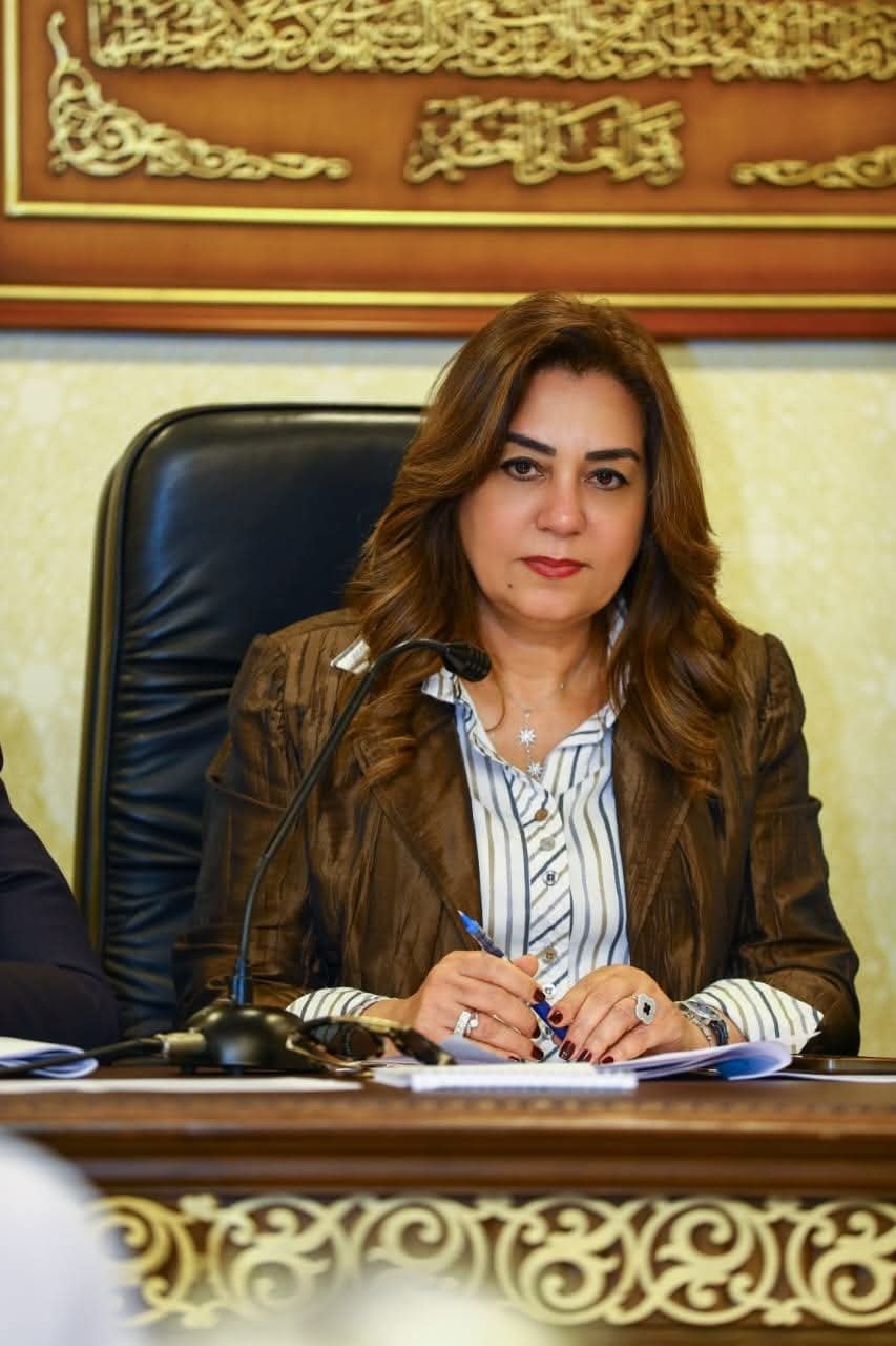 وزيرة التنمية المحلية تتلقى تقريرًا حول آخر مستجدات ملف المخططات التفصيلية والاستراتيجية بالمحافظات