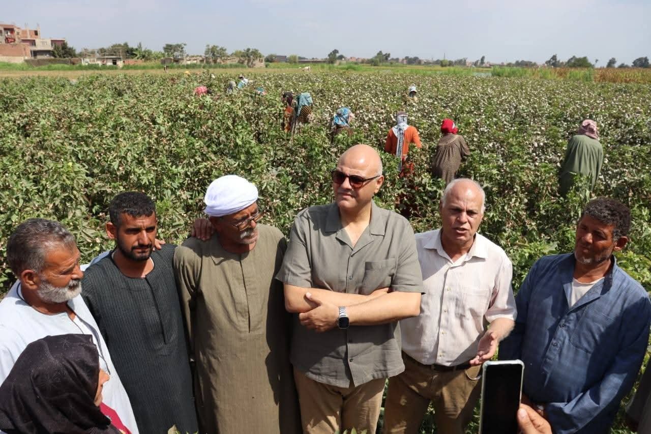 محافظ القليوبية يتفقد حصاد “الذهب الأبيض” بكفر شكر: القطن المصري علامة مسجلة عالمياً والدولة تسعى للتوسع في المساحات وتحسين الأصناف