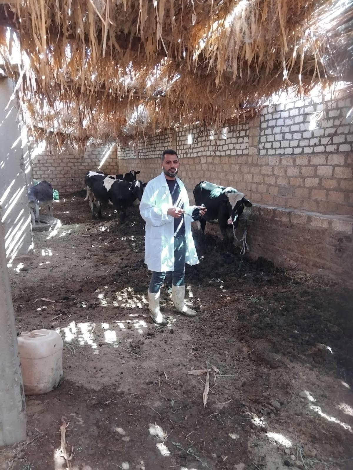 بدء فعاليات الحملة القومية الثالثة للتحصين ضد مرض الحمى القلاعية وحمى الوادي المتصدع بسوهاج