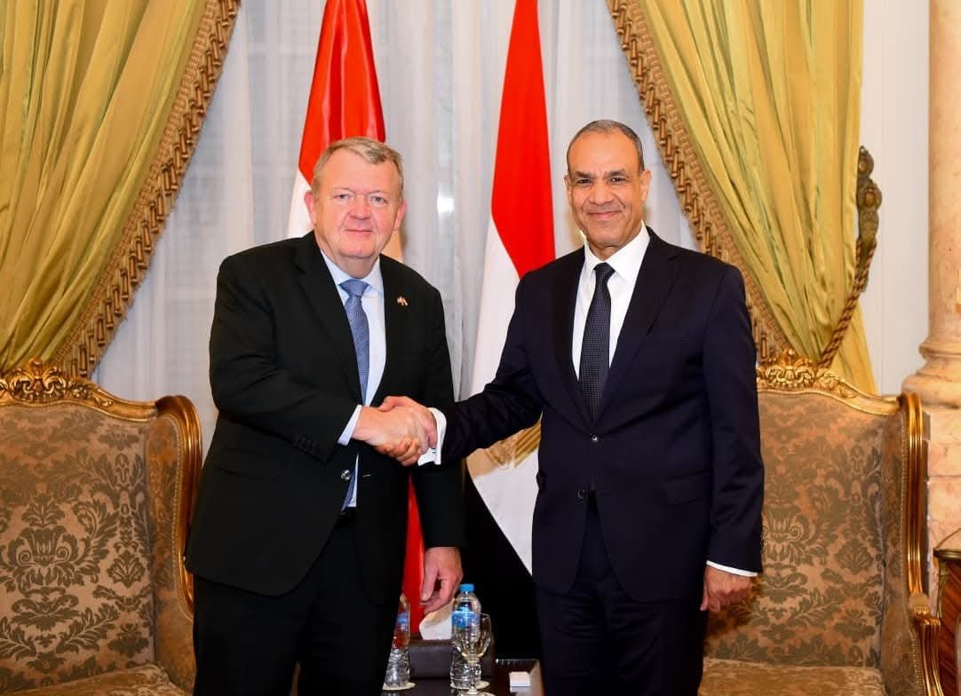 وزير الخارجية يلتقي نظيره الدنماركي