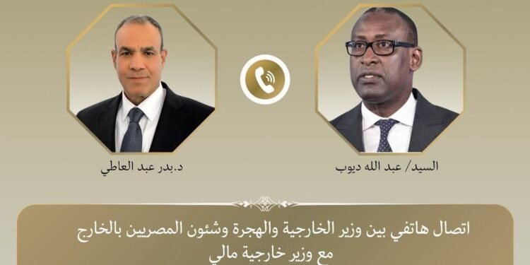 اتصال هاتفي بين وزير الخارجية ونظيره المالي