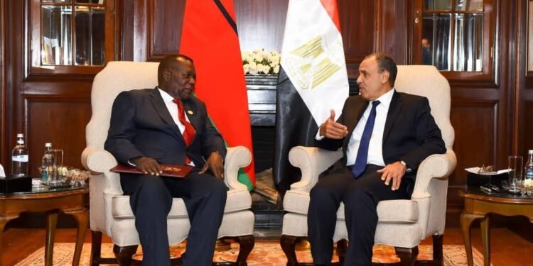وزير الخارجية يلتقي نظيره المالاوي