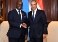 وزير الخارجية يلتقي نظيره الرواندي لبحث سبل تعزيز التعاون الثنائي