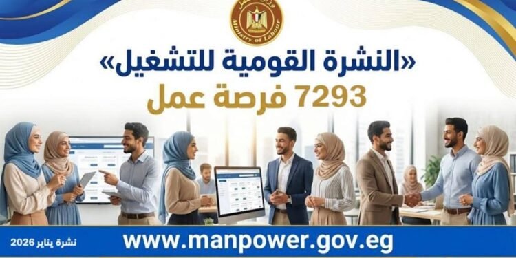 وزير العمل توفير 7293 فرصة عمل جديدة في 65 شركة بـ 12 محافظة.. والتقديم خلال يناير 2026