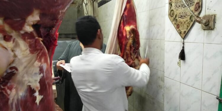تنفيذاً لتعليمات محافظ أسوان .. الطب البيطرى ينفذ حملات مكبرة تسفر عن ضبط 114 كجم من اللحوم غير الصالحة للإستهلاك الآدمى