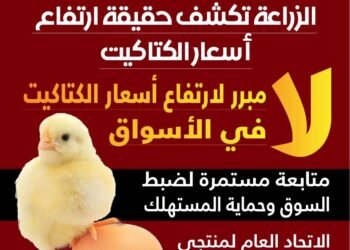 الزراعة: ليس هناك مبرر لارتفاع أسعار الكتاكيت في الأسواق