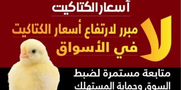 الزراعة: ليس هناك مبرر لارتفاع أسعار الكتاكيت في الأسواق