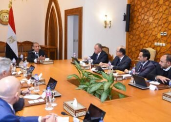 وزير الخارجية يؤكد على الدور المحورى للقطاع الخاص في تعزيز الشراكات الاقتصادية مع أفريقيا