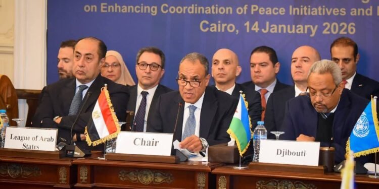 مصر ترأس الاجتماع الخامس للآلية التشاورية لتعزيز تنسيق جهود السلام في السودان .. ووزير الخارجية يؤكد على ثوابت الموقف المصري تجاه الأزمة في السودان