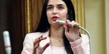 إيرين سعيد، أصغر رئيسة هيئة برلمانية في تاريخ البرلماني المصري