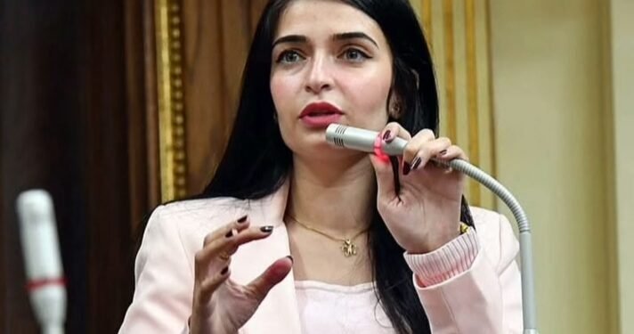إيرين سعيد، أصغر رئيسة هيئة برلمانية في تاريخ البرلماني المصري