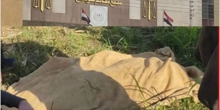 إحالة ١٢ متهما من قرية بني عمار إلى فضلية مفتي الجمهوريه للنظر في اعدامهم