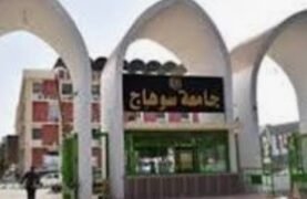 باستخدام أحدث بروتوكولات العلاج.. مستشفيات سوهاج الجامعية تعالج 20 حالة سكتة دماغية حادة بنجاح