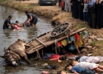 فاجعة تهز قرية البستان بمحافظة دمياط انقلاب عربية كارو في الترعة وعليها اطفال