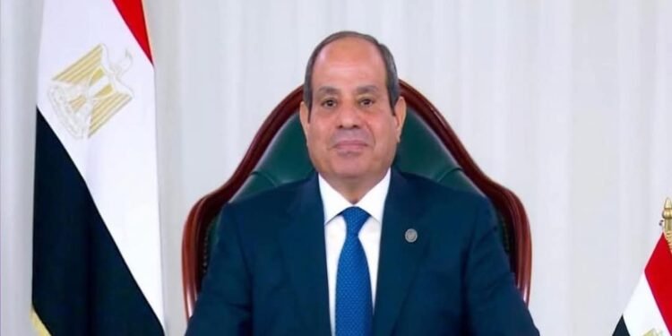 السيسي وباتروشيف يناقشان تفعيل الشراكة الاستراتيجية بين مصر وروسيا في الملاحة البحرية