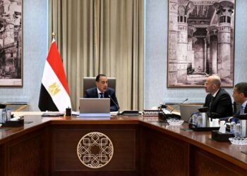 رئيس الوزراء يستعرض مقترحًا لتنفيذ مشروع مدينة المستشفيات والمعاهد الطبية بالعاصمة الجديدة