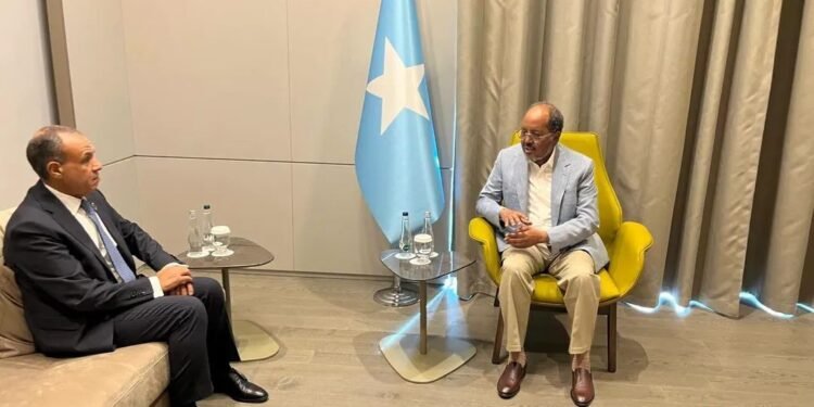 علي هامش منتدى أنطاليا الدبلوماسي..وزير الخارجية يلتقي الرئيس الصومالي ويؤكد مواصلة دعم مصر للصومال وتعزيز الشراكة الاستراتيجية بين البلدين