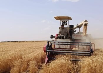 شراكة بحثية مثمرة بين “الريف المصري الجديد” و”مركز بحوث الصحراء”.. تفتح آفاقًا جديدة للزراعة في الأراضي القاحلة مع الري بالمياه مرتفعة الملوحة