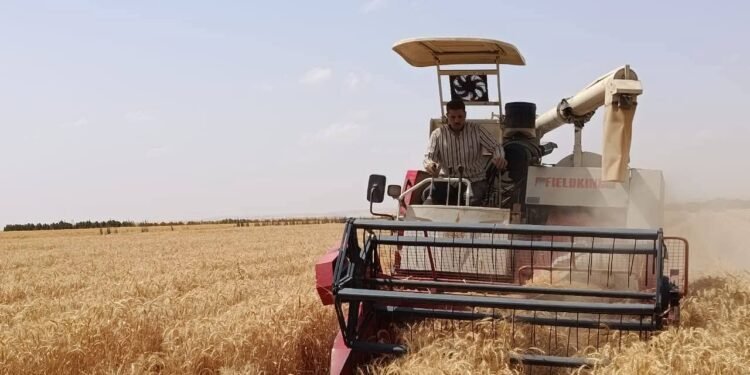 شراكة بحثية مثمرة بين “الريف المصري الجديد” و”مركز بحوث الصحراء”.. تفتح آفاقًا جديدة للزراعة في الأراضي القاحلة مع الري بالمياه مرتفعة الملوحة