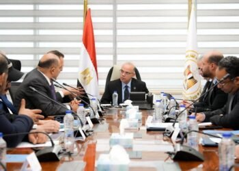 وزير الاستثمار والتجارة الخارجية يبحث مع شركة “MRYK Holding” الصينية خططها التوسعية في مصر وفرص نقل التكنولوجيا المتقدمة