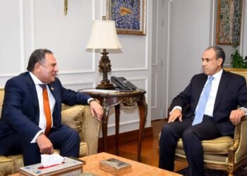 وزير الخارجية يلتقي رئيس لجنة الشئون العربية بمجلس النواب