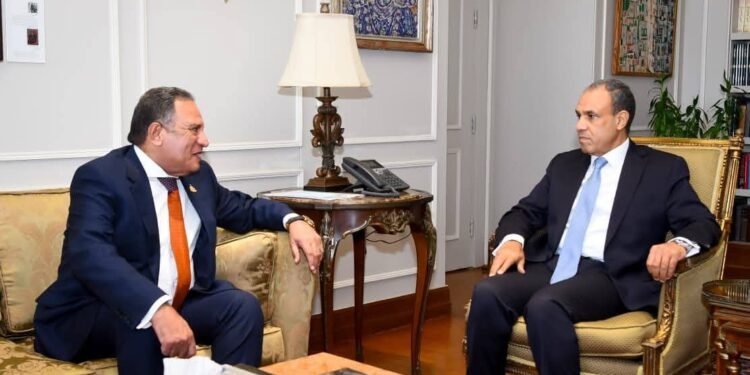 وزير الخارجية يلتقي رئيس لجنة الشئون العربية بمجلس النواب