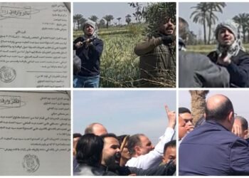 بسبب المطالبة بأملاكها.. شيخ الطريقة الصاوية يعتدي على شقيقته ويستولي على أرضها بالقوة في الفيوم