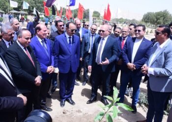 محافظ سوهاج ورئيس الجامعة وعدد من القيادات يشاركون في زراعة أشجار الزيتون رمز السلام احتفالًا بعيد تحرير سيناء