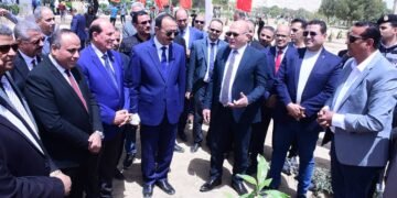محافظ سوهاج ورئيس الجامعة وعدد من القيادات يشاركون في زراعة أشجار الزيتون رمز السلام احتفالًا بعيد تحرير سيناء