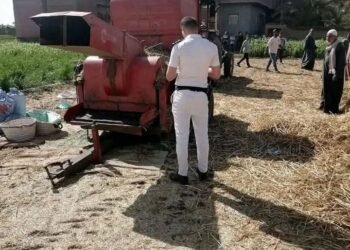 وسط فرحة جمع محصول القمح دارسة القمح تنهي حياة ربة المنزل