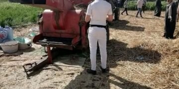 وسط فرحة جمع محصول القمح دارسة القمح تنهي حياة ربة المنزل