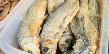 حملة تموينيه تضبط_٦٤كيلو أسماك مملحة ورنجه بسوهاج