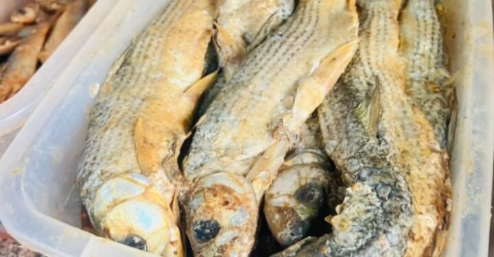 حملة تموينيه تضبط_٦٤كيلو أسماك مملحة ورنجه بسوهاج