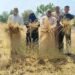 القبض على المتهم بسرقة محصول القمح في قرية الزنكلون بالشرقية