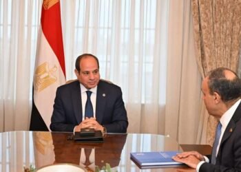 السيسي وعبد العاطي يستعرضان جهود مصر لاحتواء التصعيد الإقليمي ودعم الجاليات بالخارج