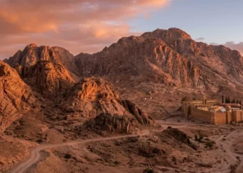 بعيداًعن السياسة..آيات مصطفى تكتب:القومية الوطنية المصرية