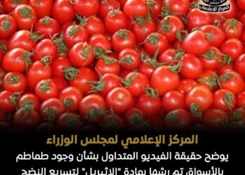 المركز الإعلامي لمجلس الوزراء يوضح حقيقة فيديو موقع مصر الساعة بشأن وجود طماطم بالأسواق تم رشها بمادة “الإثيريل” لتسريع النضج والتلوين الخارجي للثمرة مما يتسبب في الفشل الكلوي