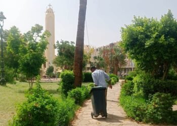 حملات مكثفة للنظافة والتجميل بأسوان وإدفو للإرتقاء بالمظهر الحضارى وتحسين الخدمات