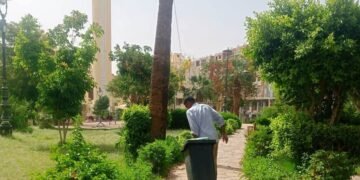 حملات مكثفة للنظافة والتجميل بأسوان وإدفو للإرتقاء بالمظهر الحضارى وتحسين الخدمات